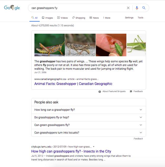 Image of how much more attractive a rich result like a featured snippet can be when compared to the organic results.