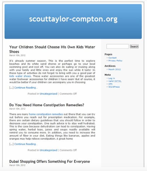 Bad PBN website example
